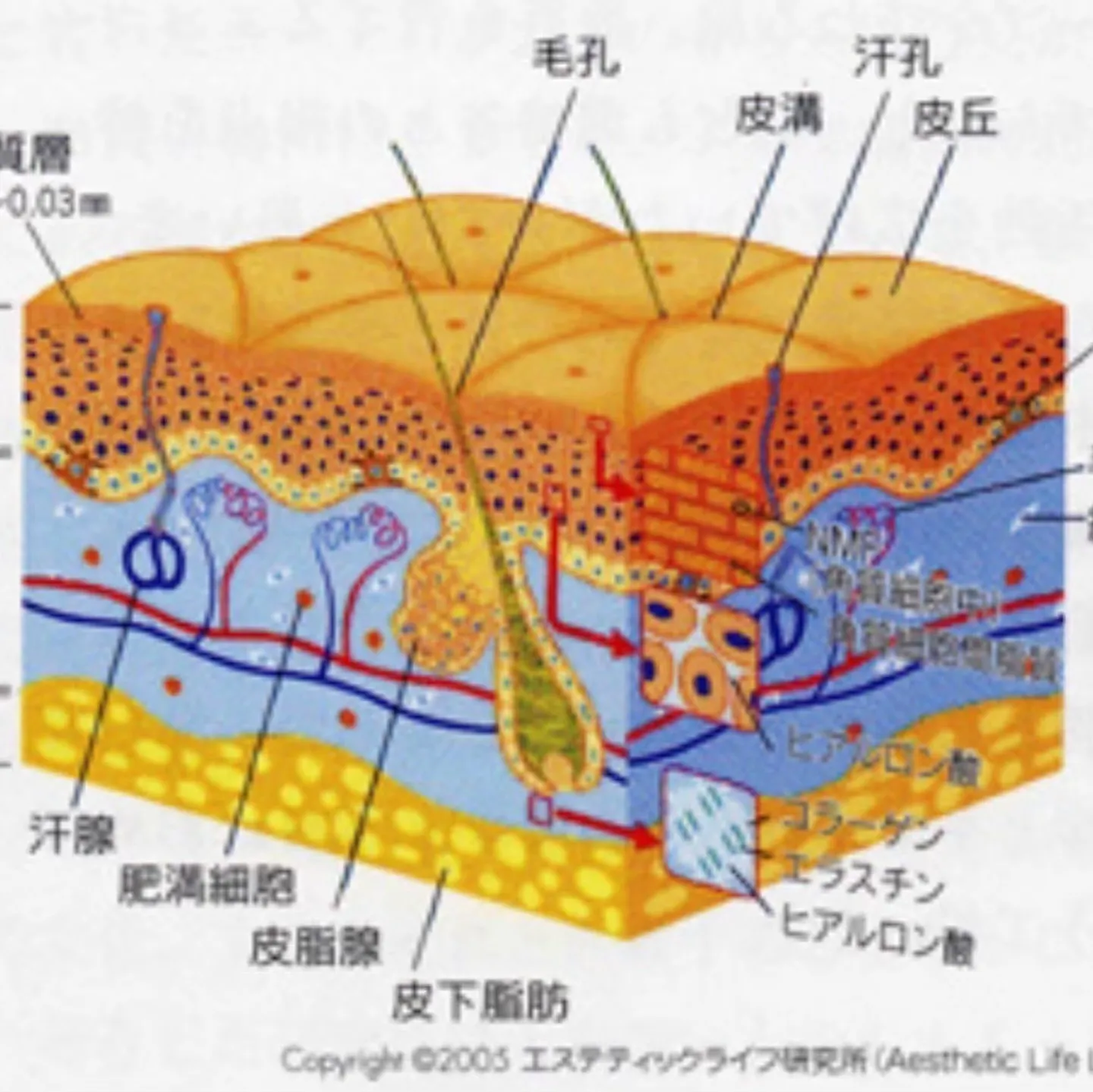 【蒲田で乾燥肌ケア✨しっとり素肌へ】